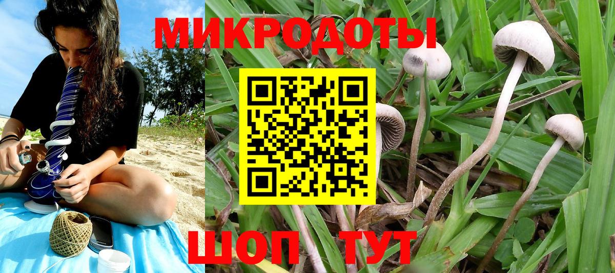 Галлюциногенные грибы GOLDEN TEACHER Керчь